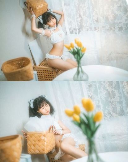 花园宝宝动画片全集免费播放